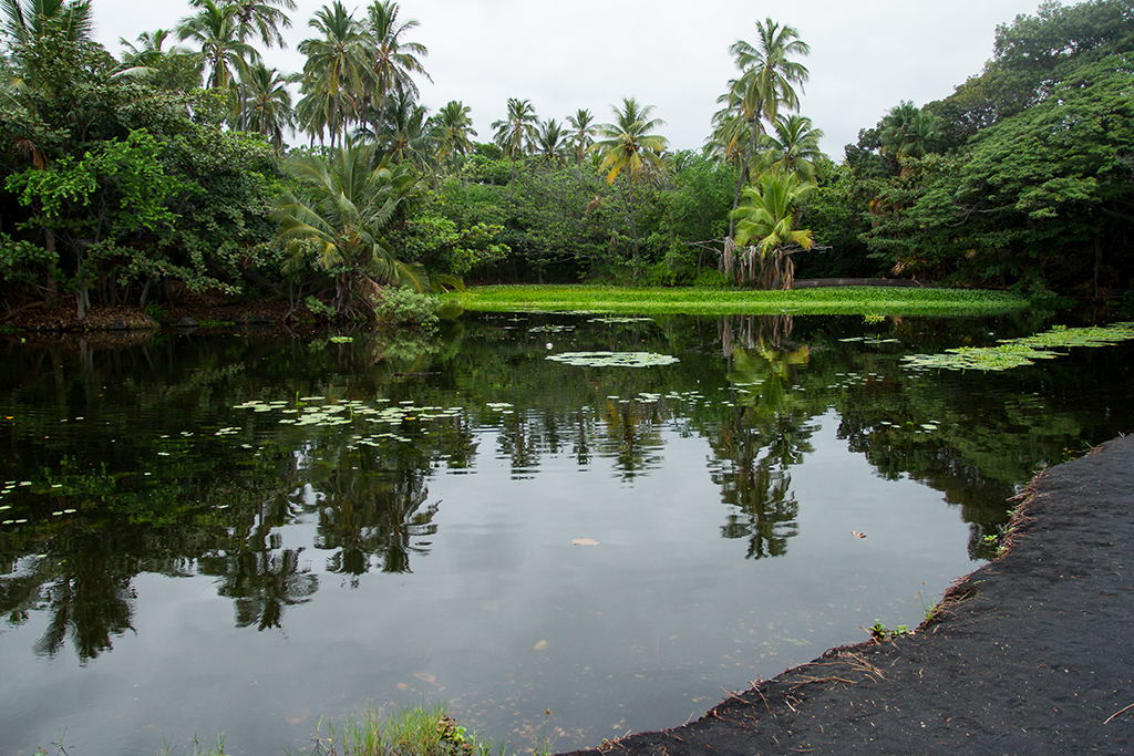 Hawaii - 021.jpg